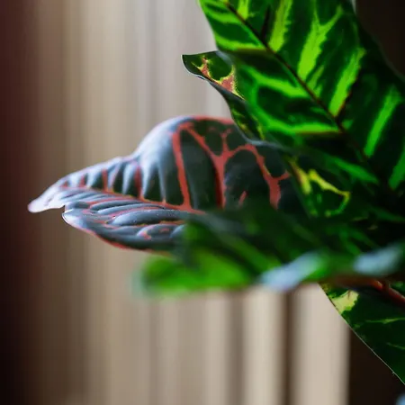 Modern One-bedroom In The Centre 550 M To The Palace Of Culture And Science By Renters Varšava