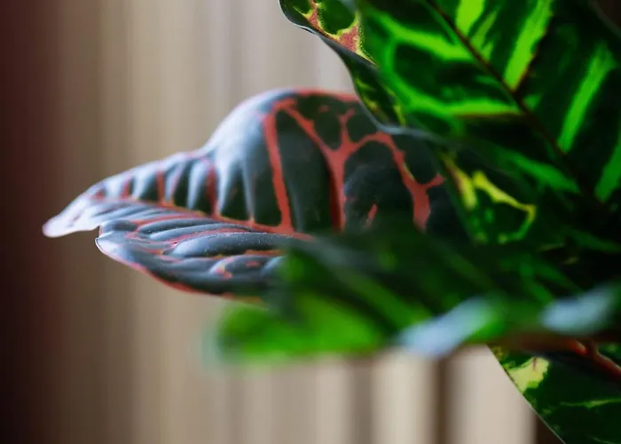 Modern One-bedroom In The Centre 550 M To The Palace Of Culture And Science By Renters Varšava